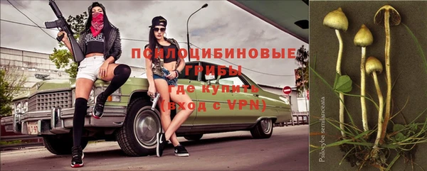 бутират Магас