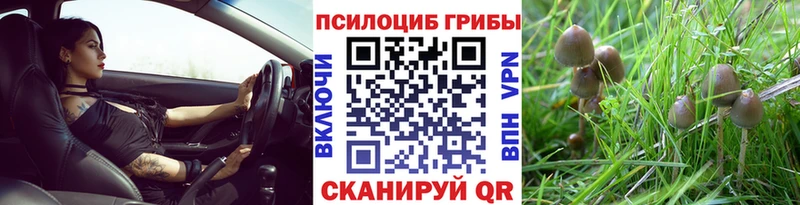 Псилоцибиновые грибы мухоморы  Зеленогорск 