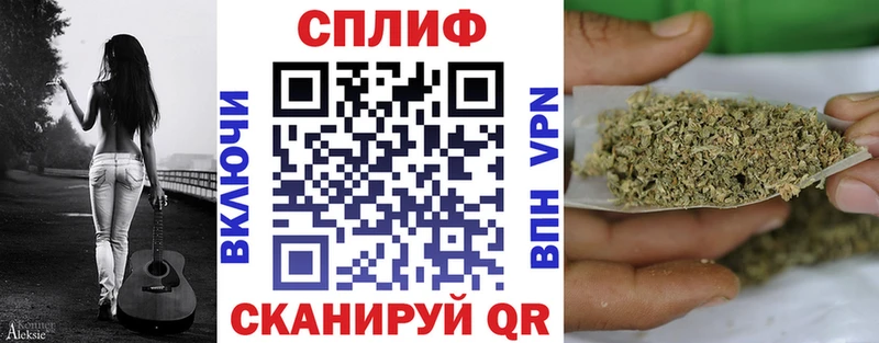 Шишки марихуана семена сколько стоит Зеленогорск